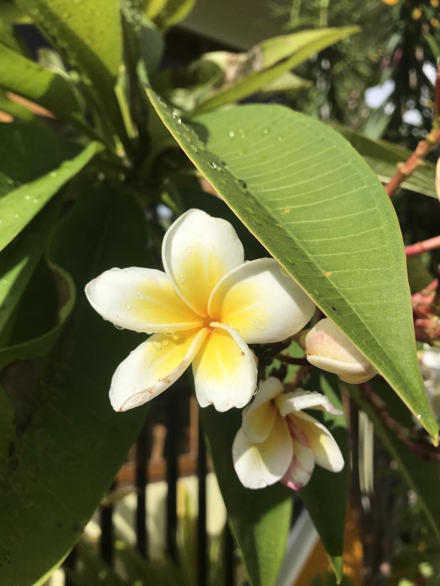 Kamadhoo Inn Ngoại thất bức ảnh