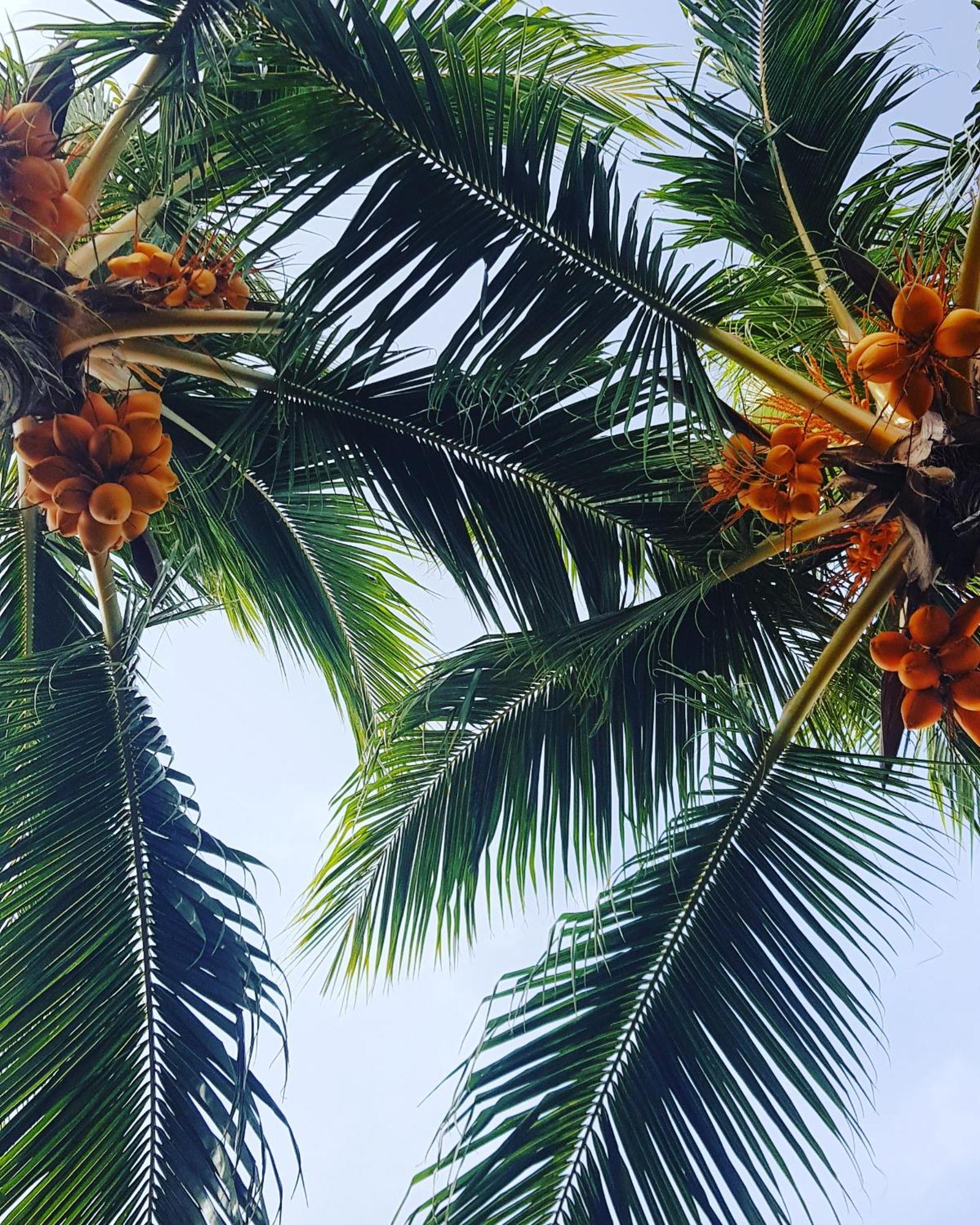 Kamadhoo Inn Ngoại thất bức ảnh